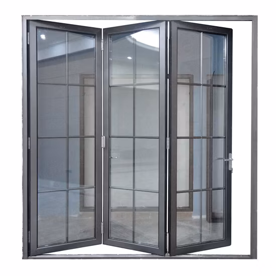 Iron Double Entrance Gate Security Exterior Design Metal Fire Patio Interior Balcony Kitchen Steel Glass Wood PVC Aluminum Aluminium Folding Sliding Window Door